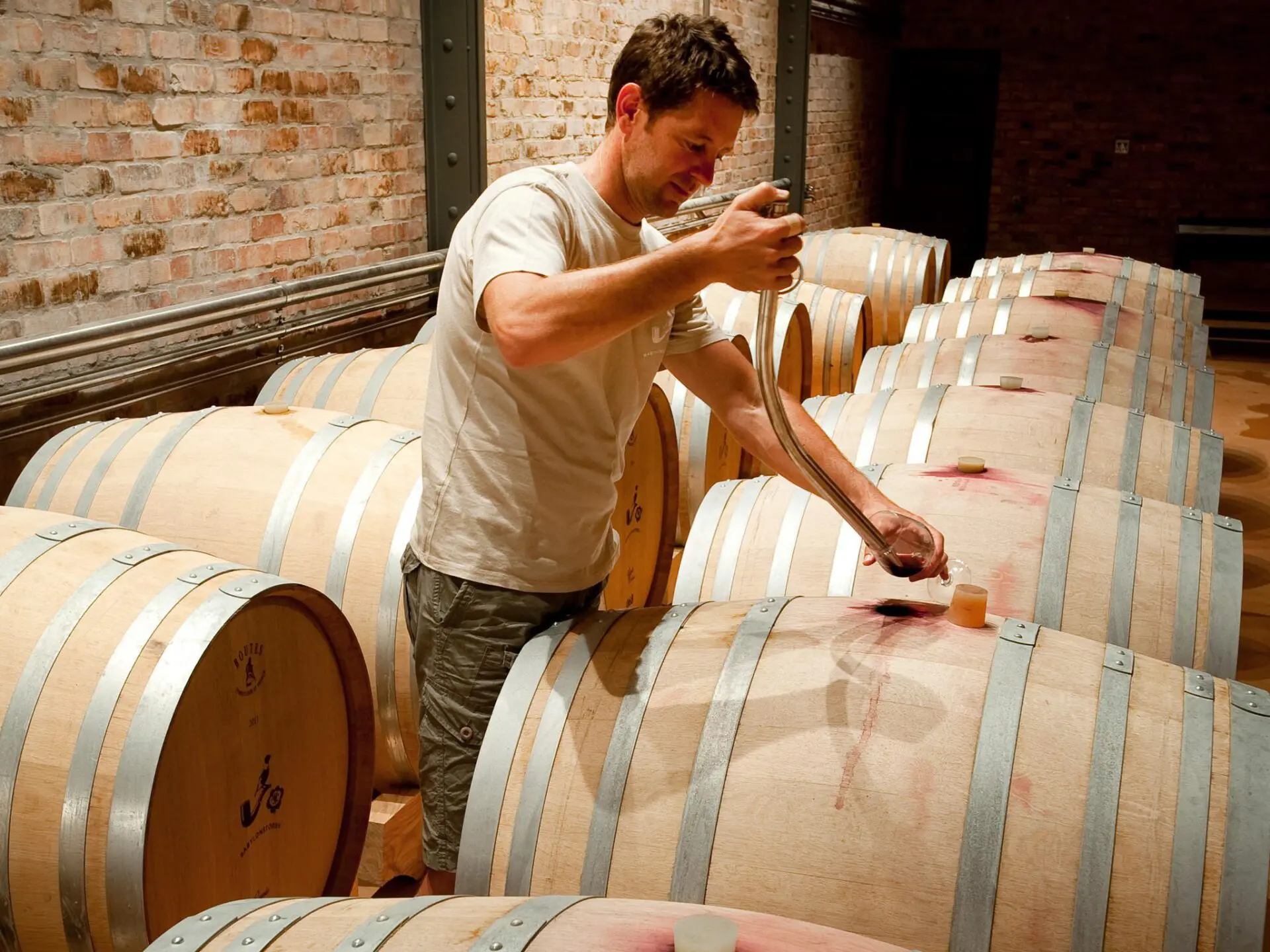 Babylonstoren Our Cellarmaster Charl Coetzee