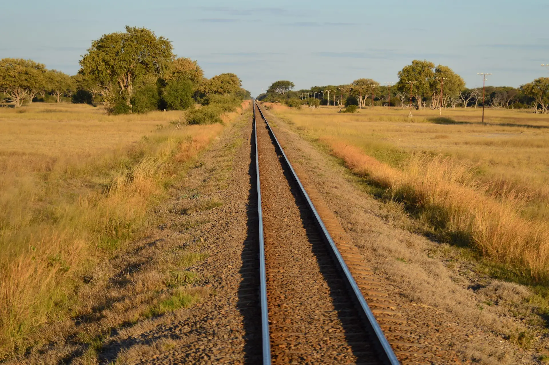 Per trein naar Hwange # FOTO 3 - Safari Hwange Camelthorn0039
