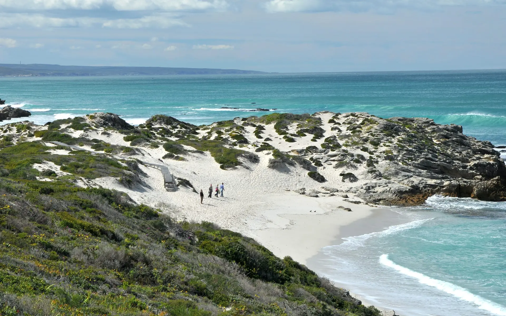 # KOPFOTO - De Hoop - scenic_1