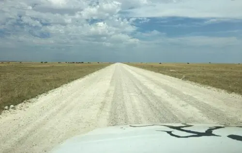 # KOPFOTO - GSM LEIN_3961