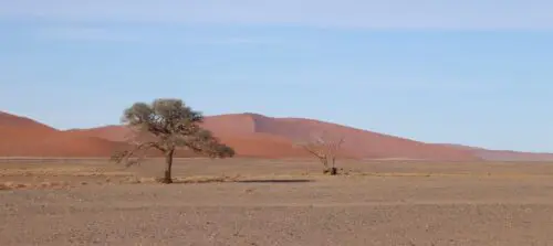 Sossusvlei - TravelMood