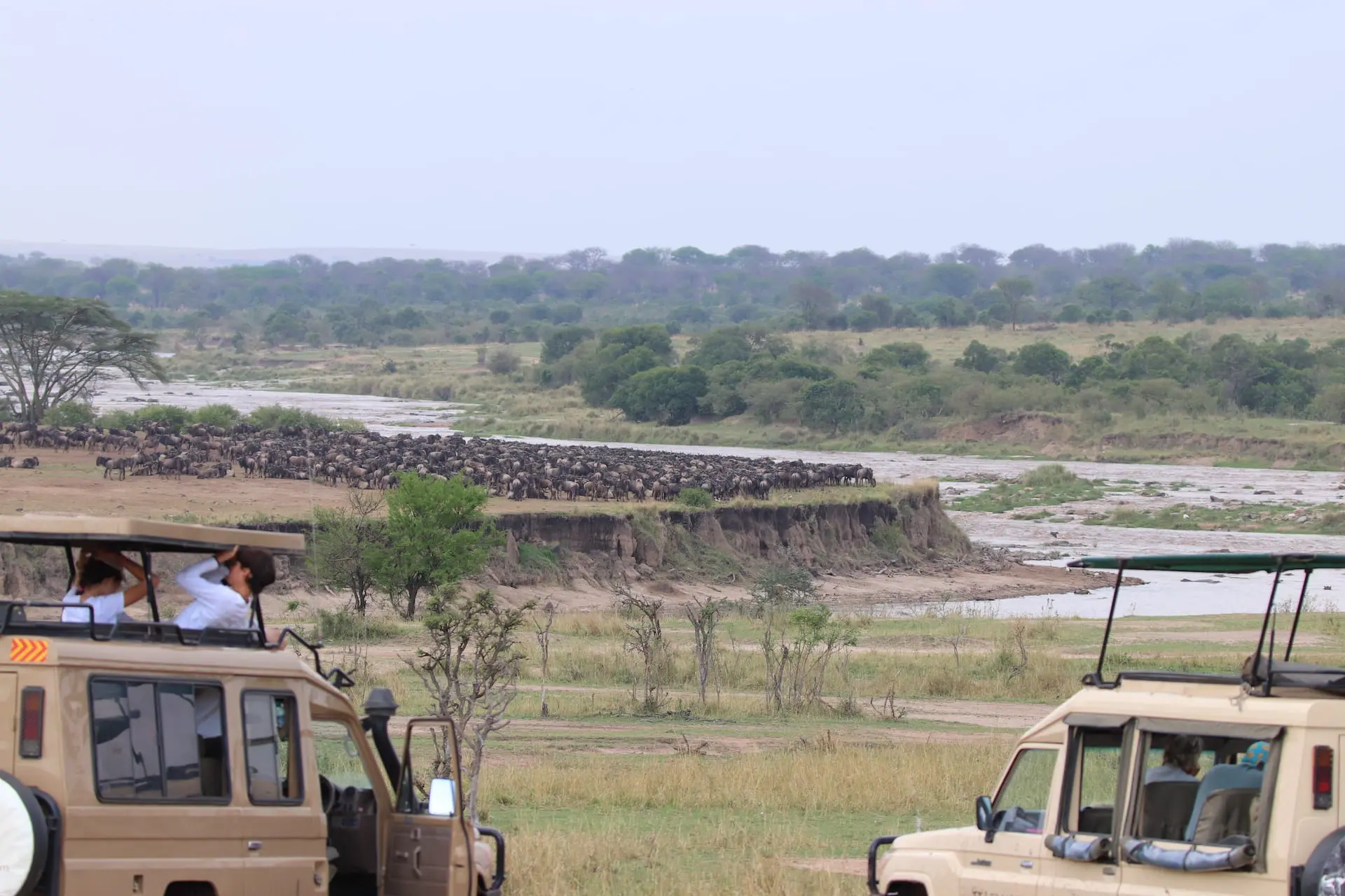 Mara Rivier in het noorden van de Serengeti # FOTO - Serengeti Noord - IMG_1892