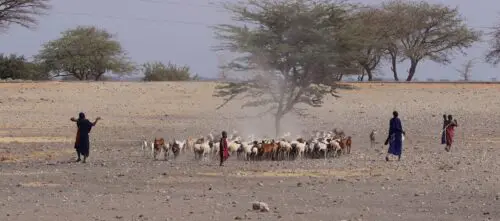 Cultuur en Safari in Noord-Tanzania