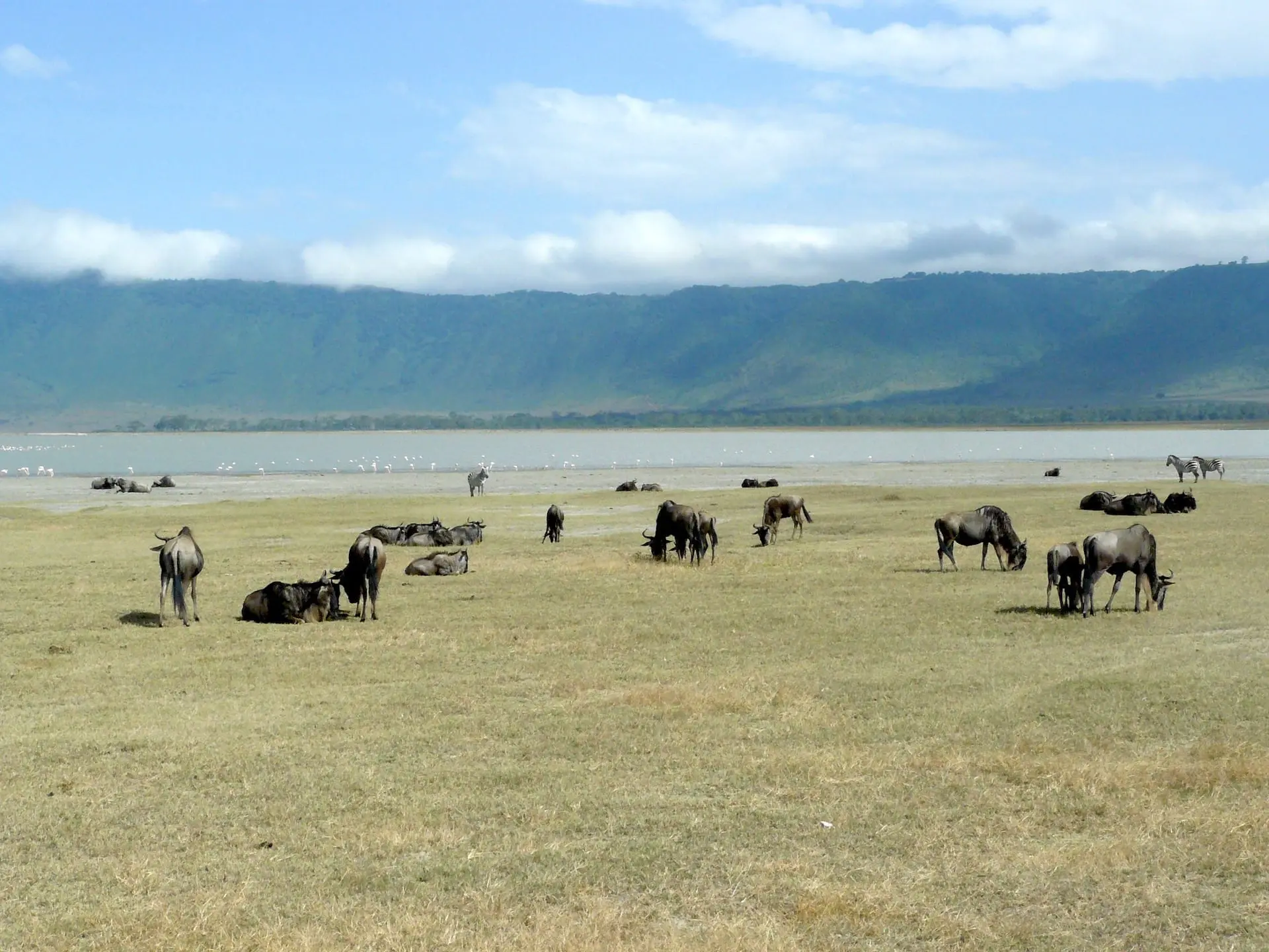 Ngorongoro Krater TZ 4 - Ngorongoro (3)