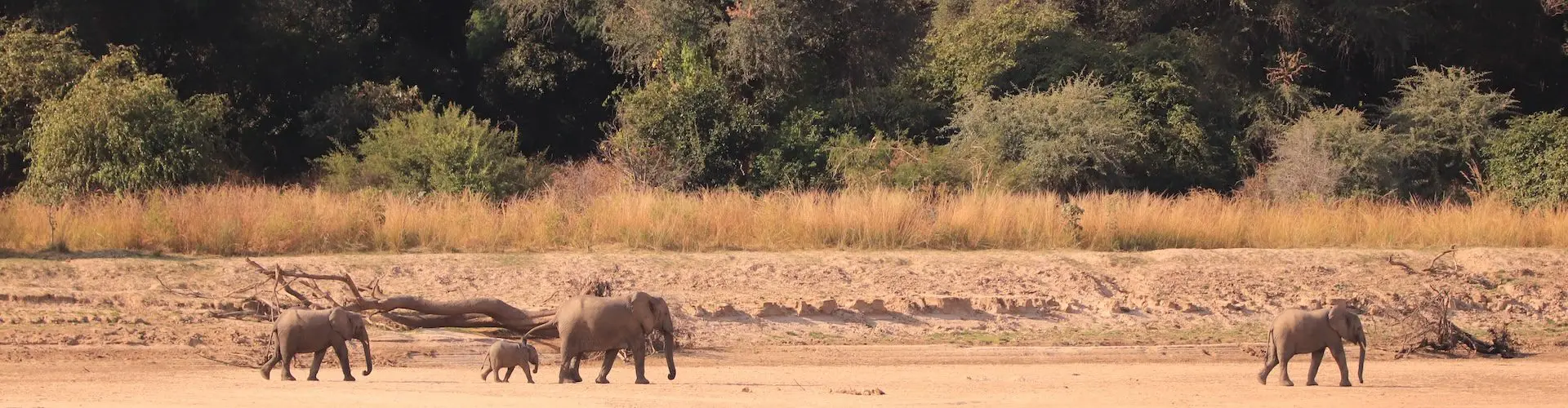 Wat zijn de hoogtepunten van Zambia?