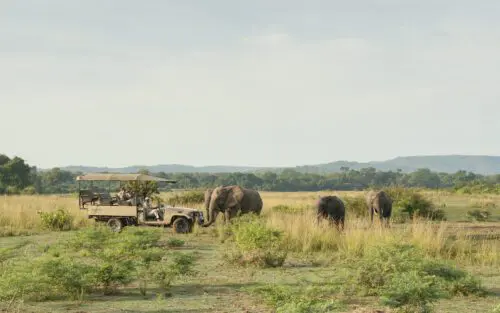 Ultieme Zambia safari in South Luangwa, Kafunta Safaris