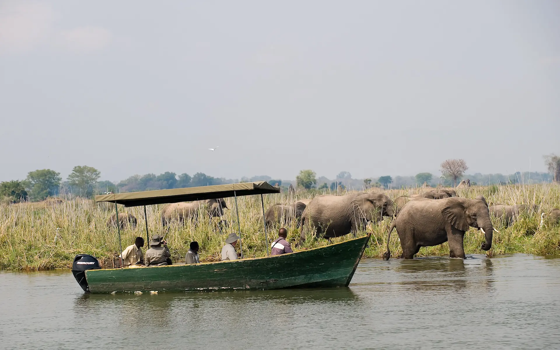 Vakantie in Zambia met een kleine groep