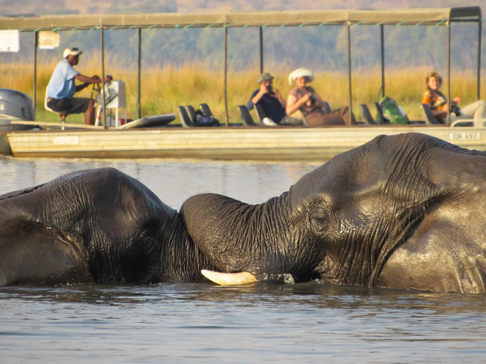 Botswana Chobe Rivier Safari Botswana Chobe Rivier Safari