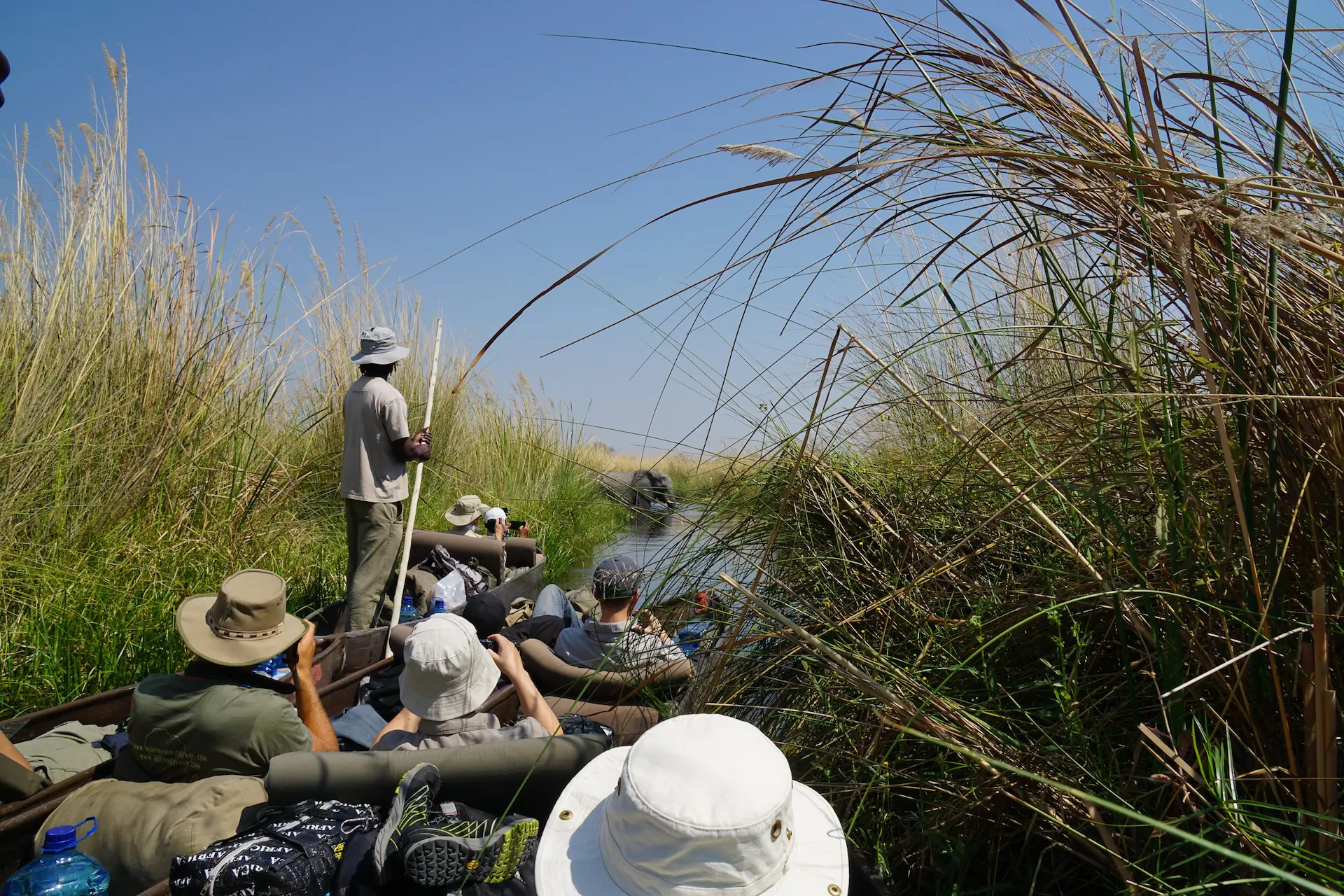 Botswana Okavango Delta Mokoro Botswana Okavango Delta Mokoro
