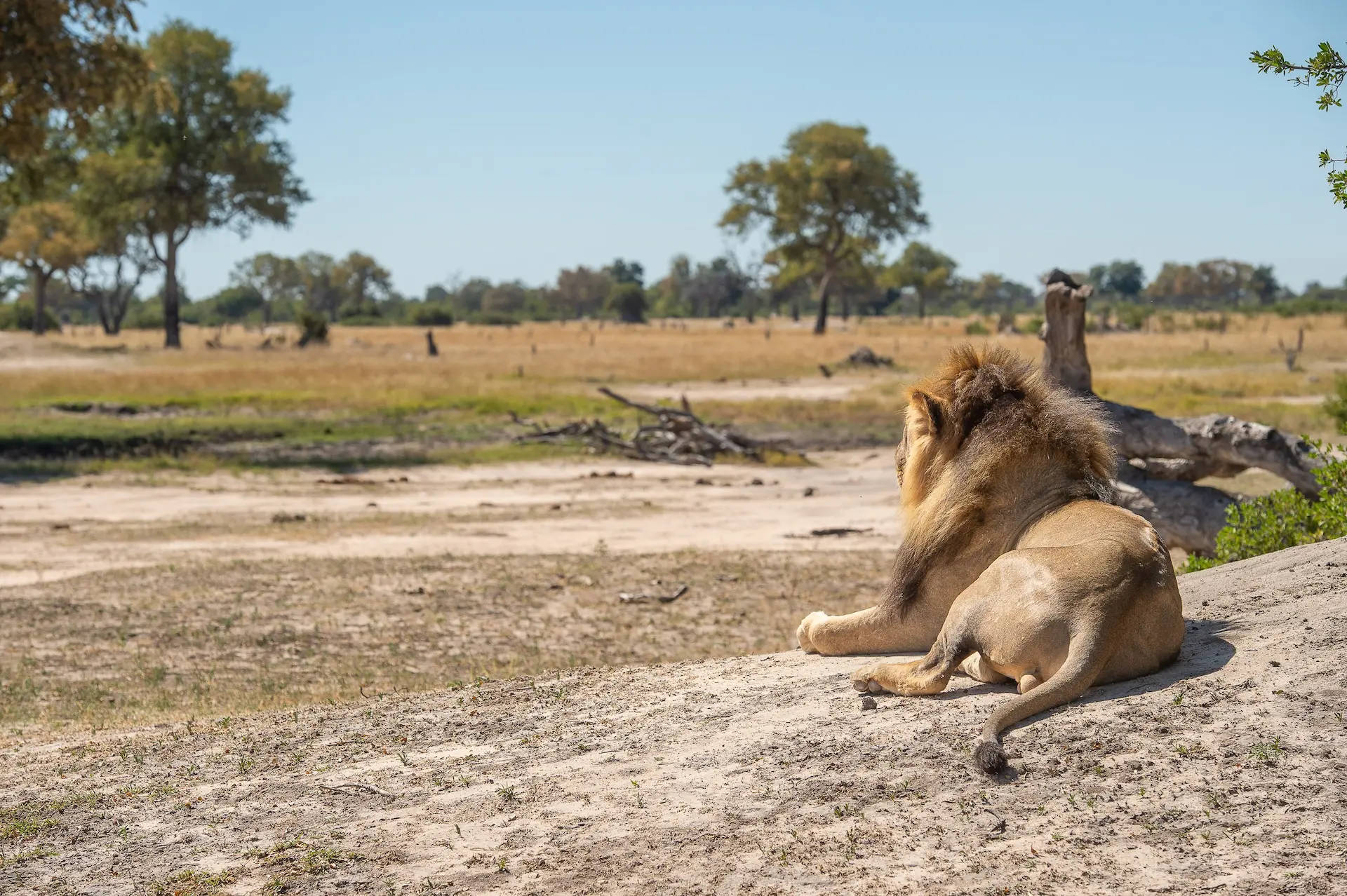 Zimbabwe Hwange National Park Zimbabwe Hwange National Park