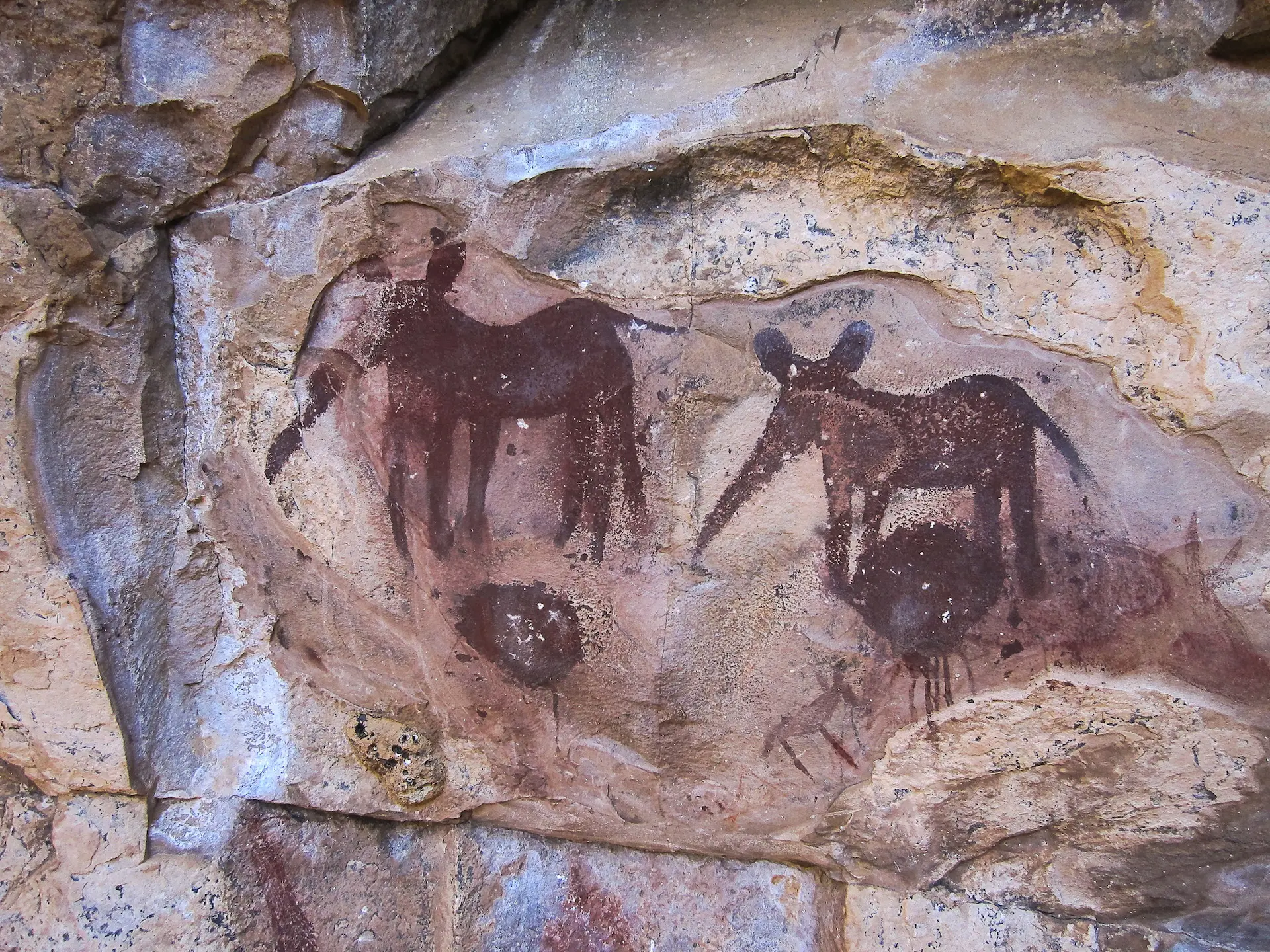 Zuid-Afrika Awelani bushman paintings Zuid-Afrika Awelani bushman paintings