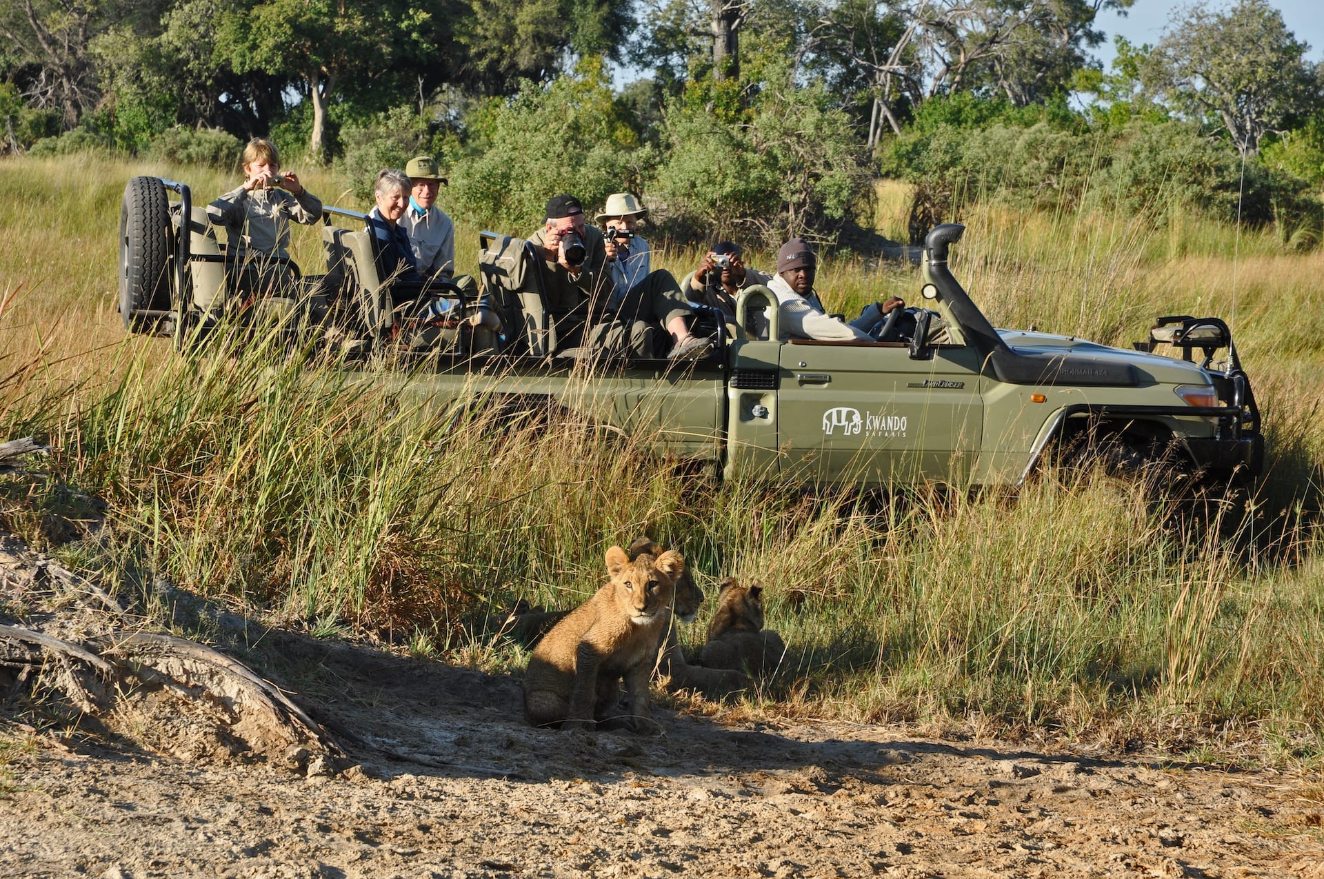 ALGEMEEN 8 - BW - Kwando Safaris - Vehicle and cubs - BW 2