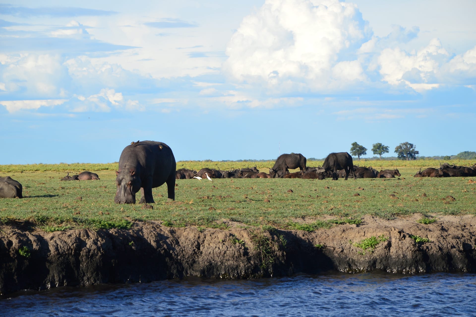 # FOTO - dieren spotten vanaf het water - Bushways Educational - DSC_0036