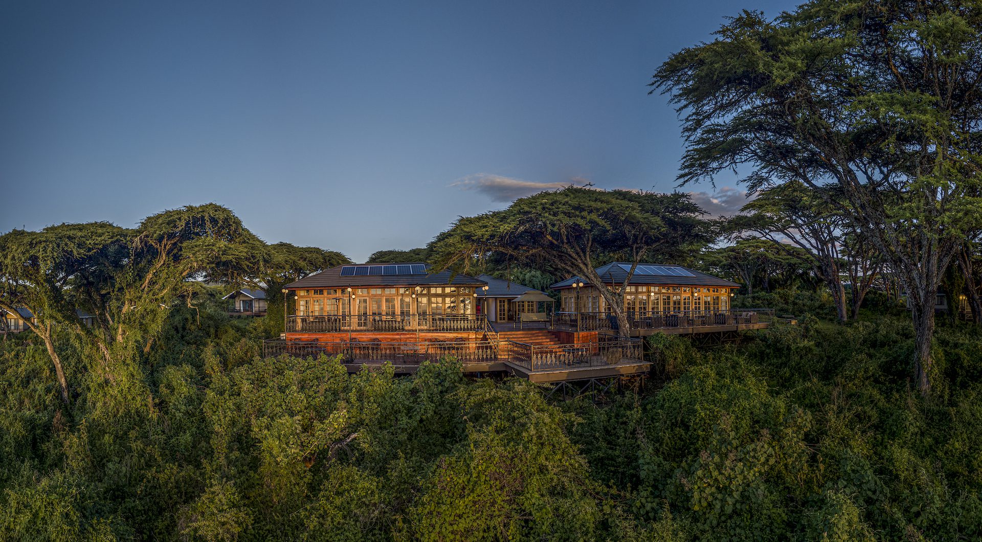 Ngorongoro Lion's Paw