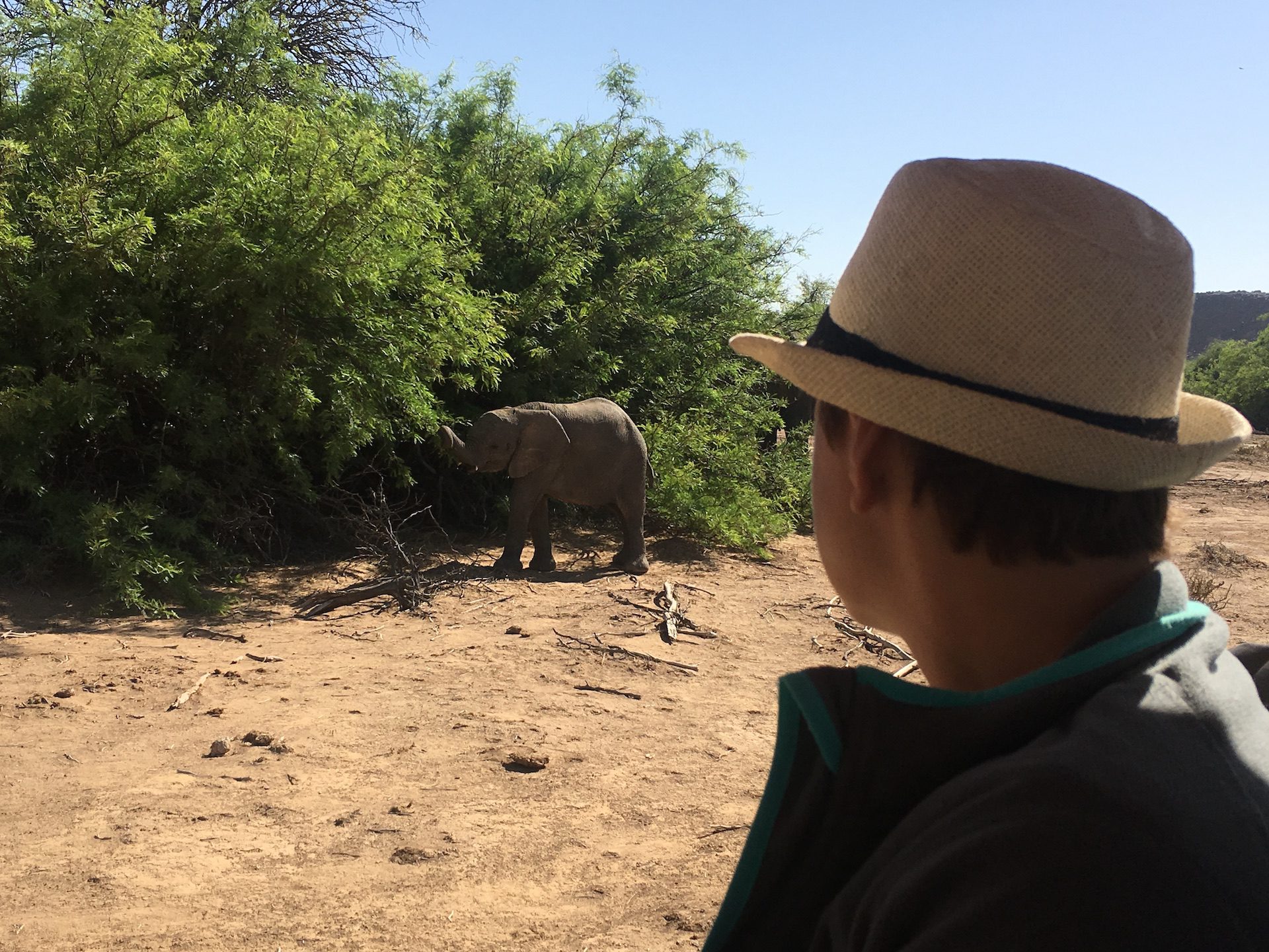 Elephant Nature Drive in Damaraland