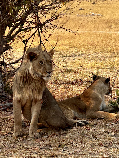 Foto van klantenbeoordeling