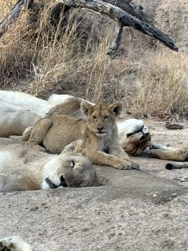 Foto van klantenbeoordeling