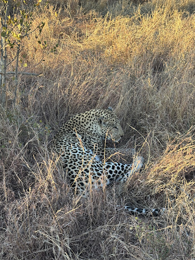 Foto van klantenbeoordeling