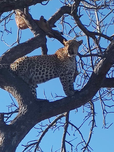 Foto van klantenbeoordeling