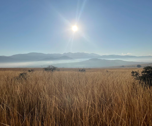 Foto van klantenbeoordeling