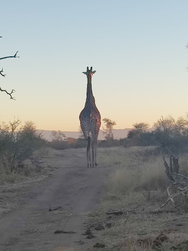 Foto van klantenbeoordeling