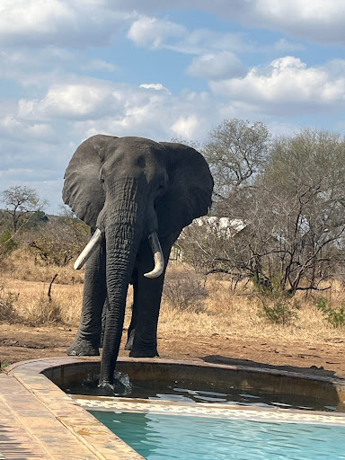 Foto van klantenbeoordeling