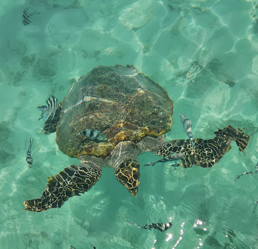 Foto van klantenbeoordeling