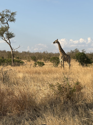 Foto van klantenbeoordeling