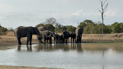 Foto van klantenbeoordeling