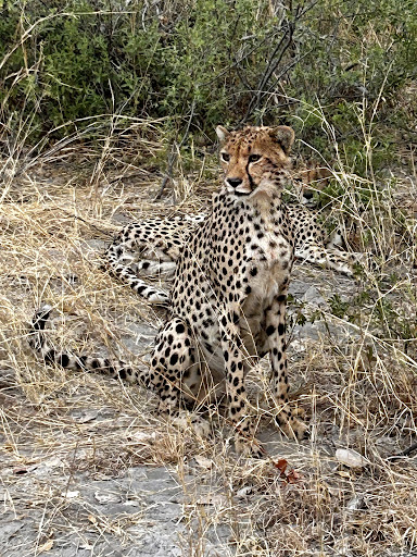 Foto van klantenbeoordeling